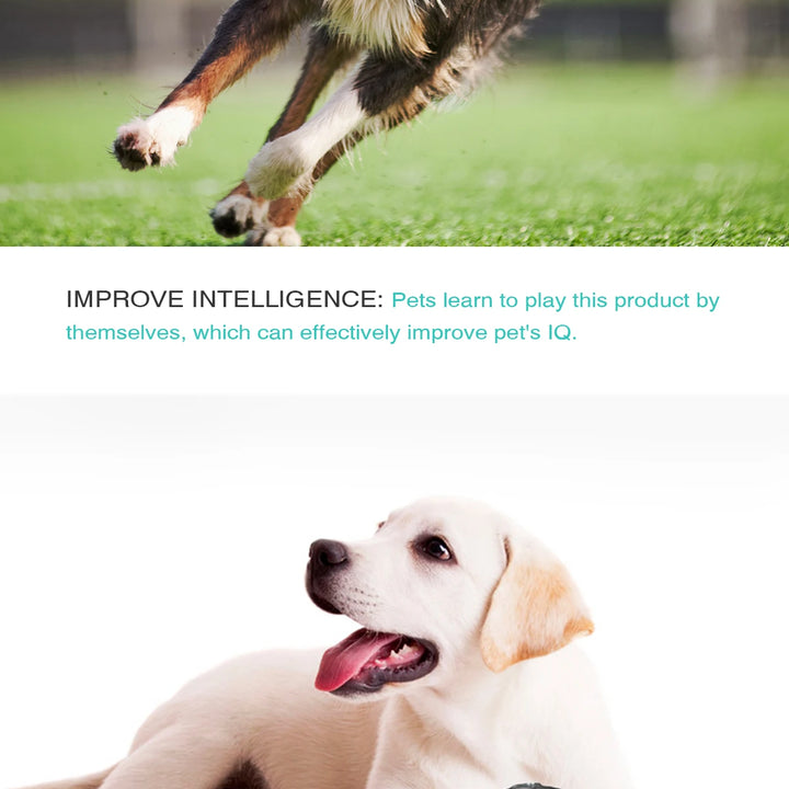 Dog Toy For Small Medium Large Dogs Cats Fly Disk Interactive Food Dispenser Improve IQ Slow Feeder Training Toys Pet Supplies