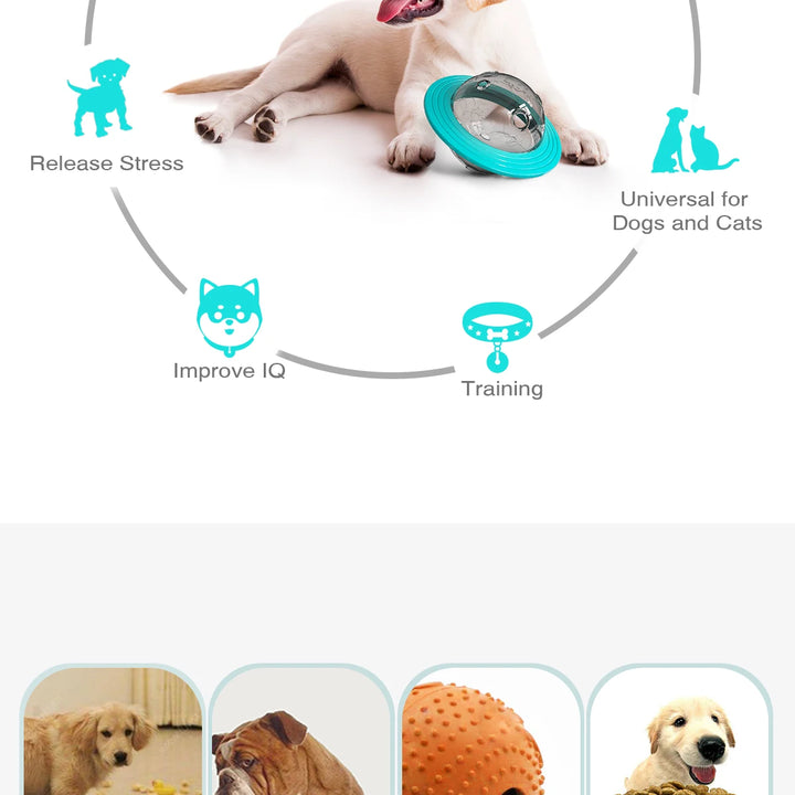 Dog Toy For Small Medium Large Dogs Cats Fly Disk Interactive Food Dispenser Improve IQ Slow Feeder Training Toys Pet Supplies